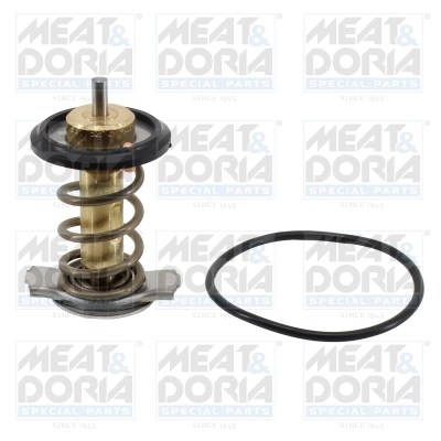 Thermostat, coolant